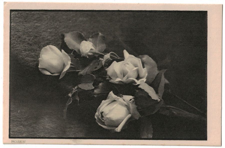 Cartoline postali: Rosen (Mischol) – Usato da Frauenfeld venduto da POML