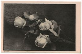 Rosen (Mischol)