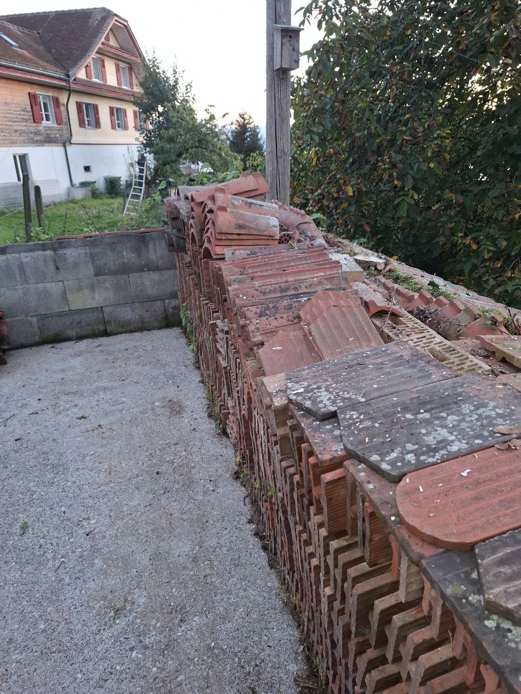 Steine & Dachziegeln: Grosse Menge Dachziegel, Ziegel, gebraucht – Gebraucht aus Greppen von chrigel-1 2