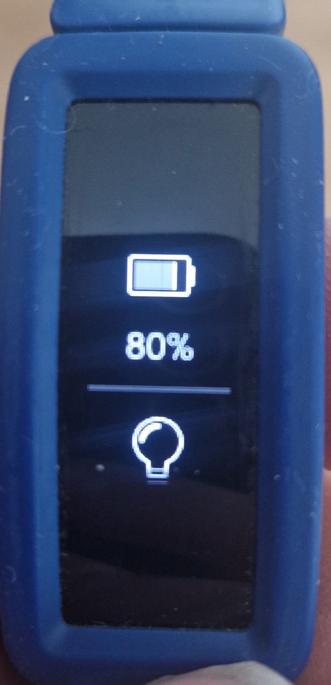 Fitbit Smartwatch: Fitbit kids ace 2 – Usato da Lotzwil venduto da DonGavallo 2
