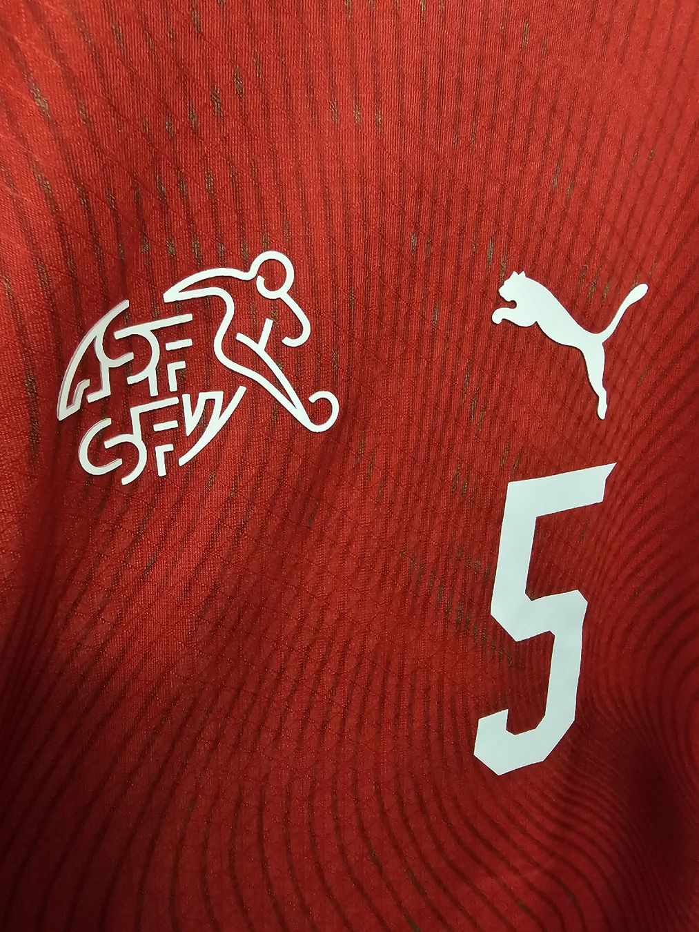 Maillots de corps & Pantalons: Schweiz Spielerversion Trikot WM 2026 – Neuf (Voir description) à Rickenbach LU par LichterWelt 2