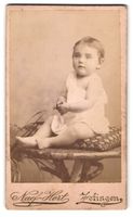Fotografie Naef-Hort, Zofingen, Luzerner