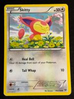 Pokemon Skitty - XY 104/146 - English