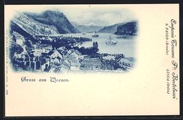 AK Weesen, Blick auf Ort und See