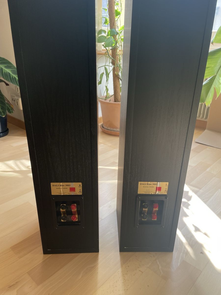 Dali Casse acustiche: DALI Blue 3003 Standboxen – Nuovo (secondo la descrizione) da Bern venduto da Zentro 2
