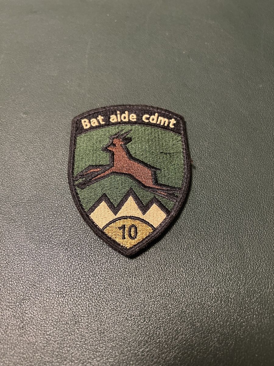 Schweizer Armee Placchette & Badge: Batch Bat aide cdmt 10 – Usato da Basel venduto da bowaems