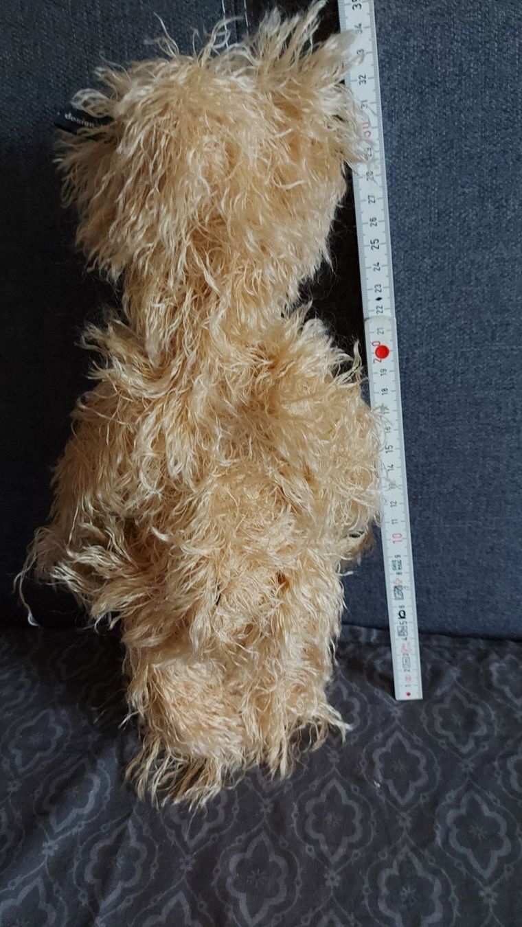 Giocattoli: Teddy – Usato da Helgisried venduto da zuegli.24 2