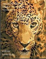 DIAMOND PAINTING mit Rahmen 36,7x28,7cm