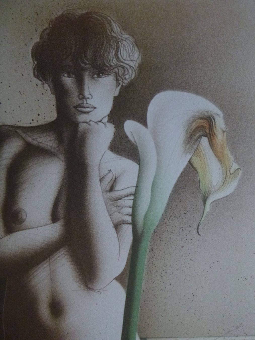 Foto & Immagini: Akt  mit Blüte / Linder – Usato da Diessenhofen venduto da farbschatten