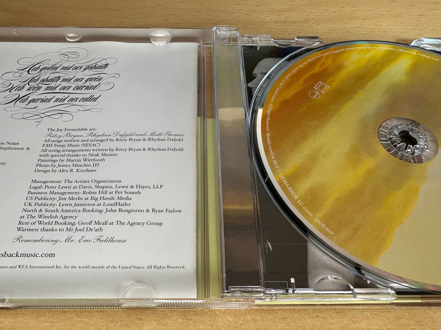 CD: The Joy Formidable – Wolf's Law – Usato da Rikon im Tösstal venduto da Alpenmutz 2