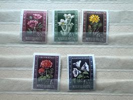 Ungarn Magyar 1951 Blumen ** (4349)
