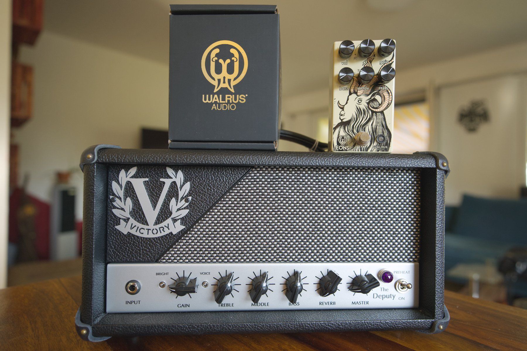 Victory Amplificateurs: Victory The Deputy Head & Walrus Eons Five State Fuzz – D'occasion à Oberwil BL par dum_772f