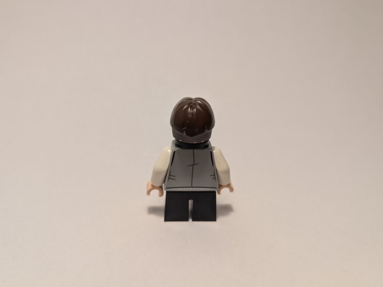 Lego Giocattoli: LEGO Harry Potter Professor Filius Flitwick – Usato da Uster venduto da FabioR 1