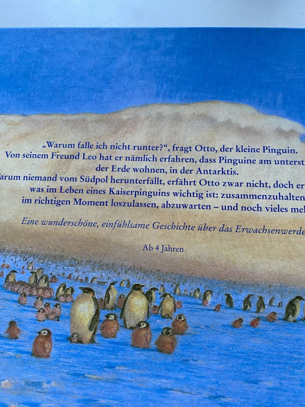 Libri: Otto, der kleine Pinguin – Nuovo (secondo la descrizione) da Sachseln venduto da basti1950 1