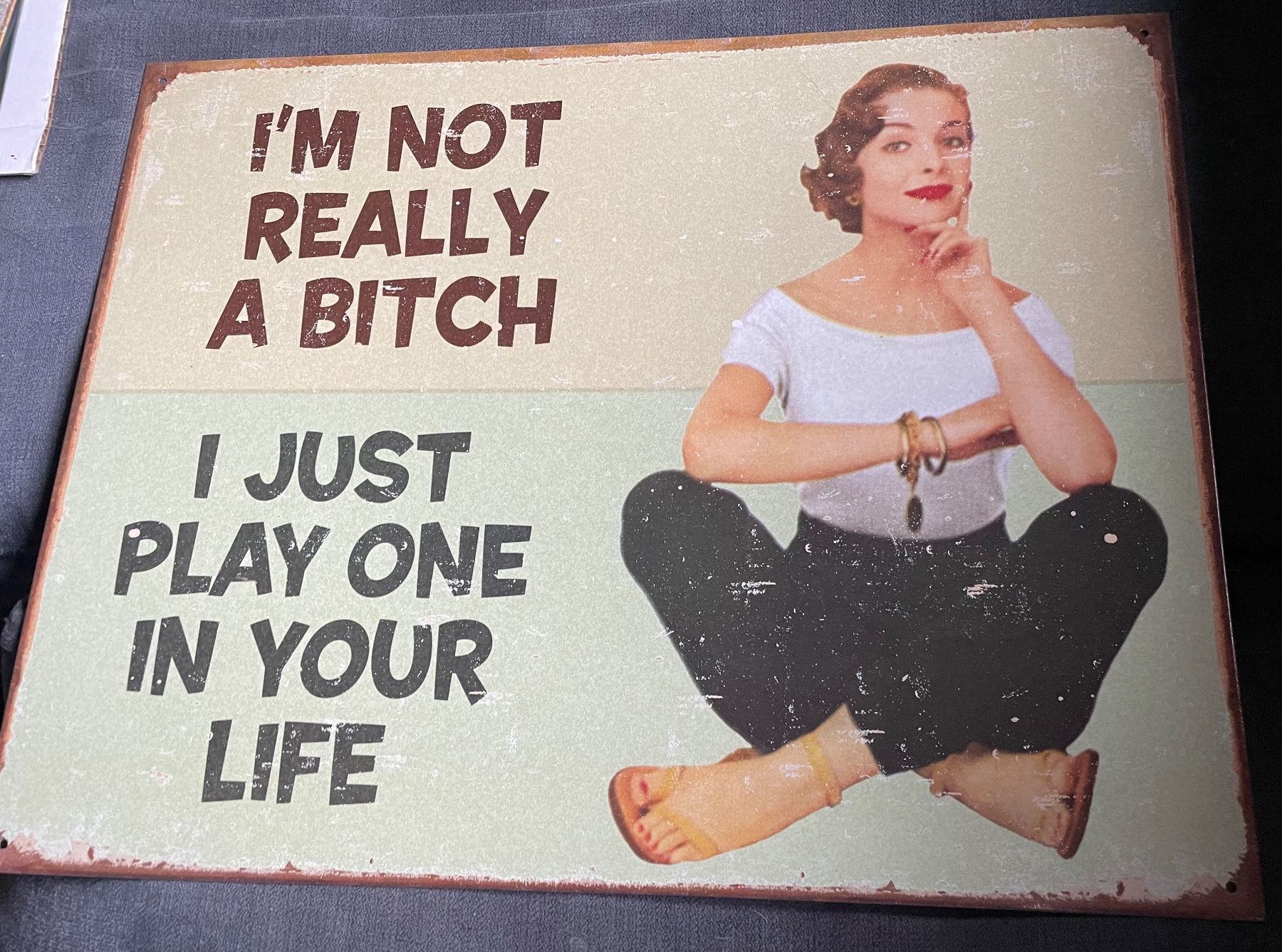 Schilder: Witziges Blechschild im Retro Look - "I'm not a Bitch" – Neu (gemäss Beschreibung) aus Adligenswil von Decor-Tech