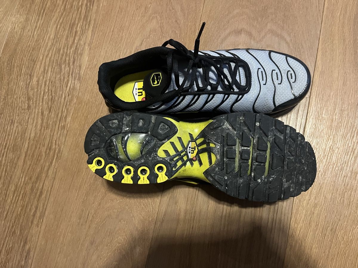 Nike Herrenschuhe: Nike Air Max Plus TN Grösse 44 – Gebraucht aus Münchenbuchsee von salty 2