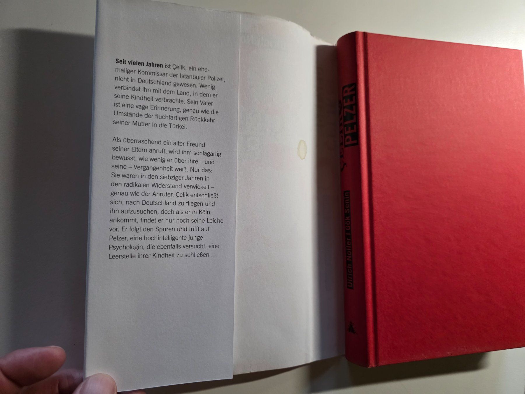 Libri: Celik & Pelzer - Kriminal Roman - 2010 – Usato da Walterswil BE venduto da Lonitti 4