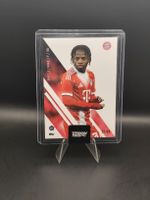 Wisdom Mike /99 RC - Topps TTF FC Bayern München Team Set 