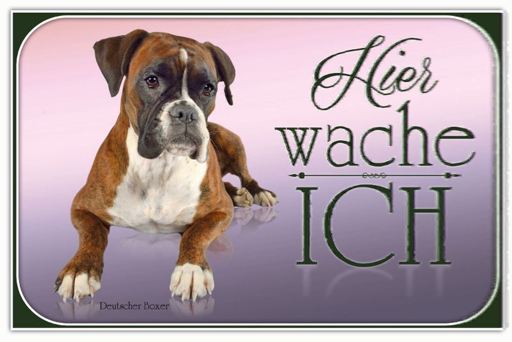 Blechschild Hund 30x20cm Deutscher Boxer hier wache ich