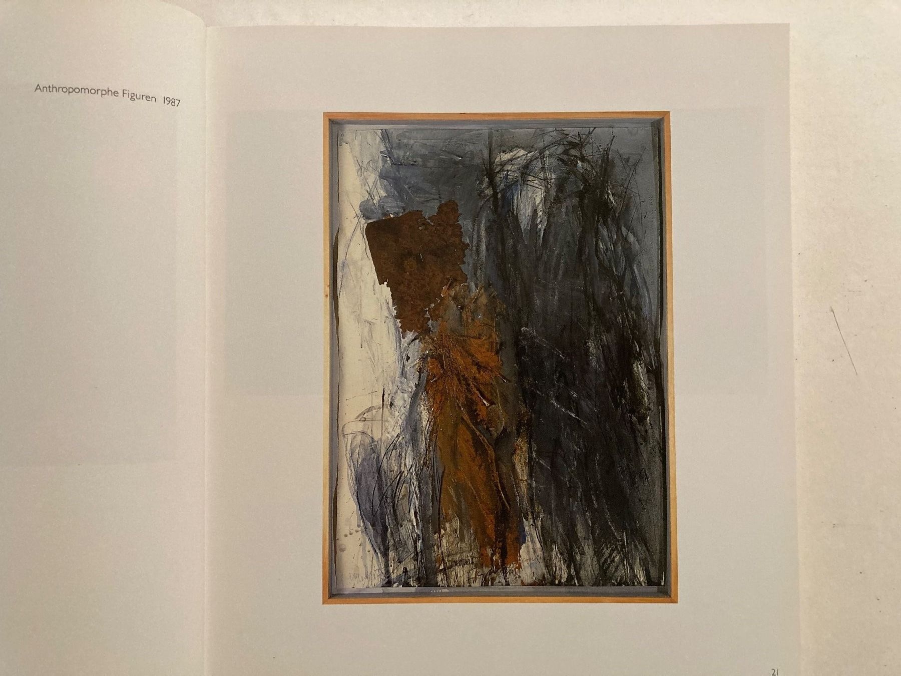 Libri: BUCH: Rolf Iseli – Usato da Rain venduto da Pic-Ass 8