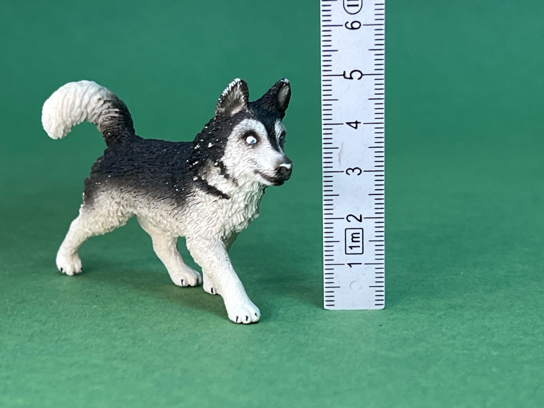 Schleich Statuette: Schleich 16835 Husky Hund – Usato da Ennetbaden venduto da mapa05 2