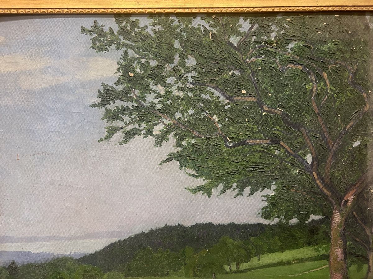 Dipinti: HUILE SUR TOILE ANCIENNE SIGNÉE ILLISIBLE ???? – Usato da Genève venduto da Qanil77 1