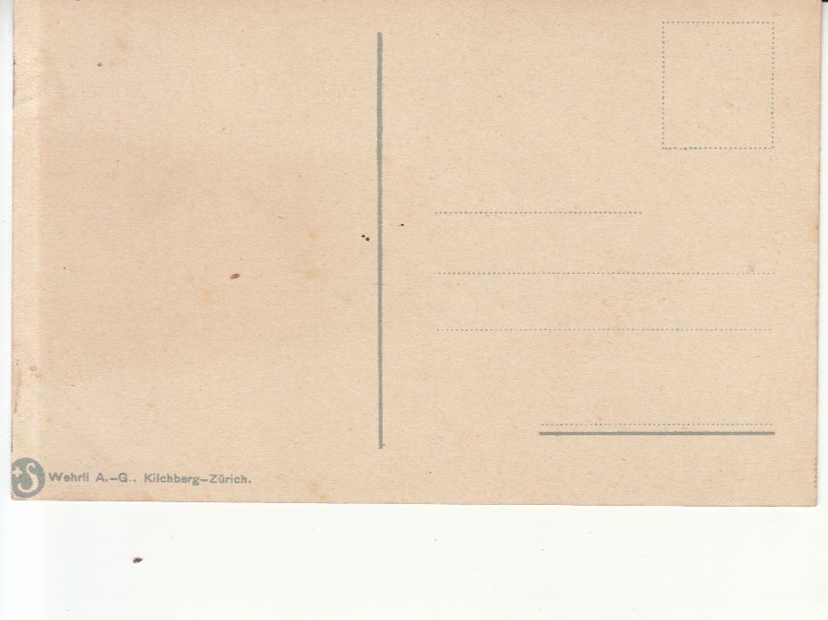 Cartoline postali: Luzern Hofkirche ca. 1920 – Usato da Bürglen TG venduto da StampGraf 1