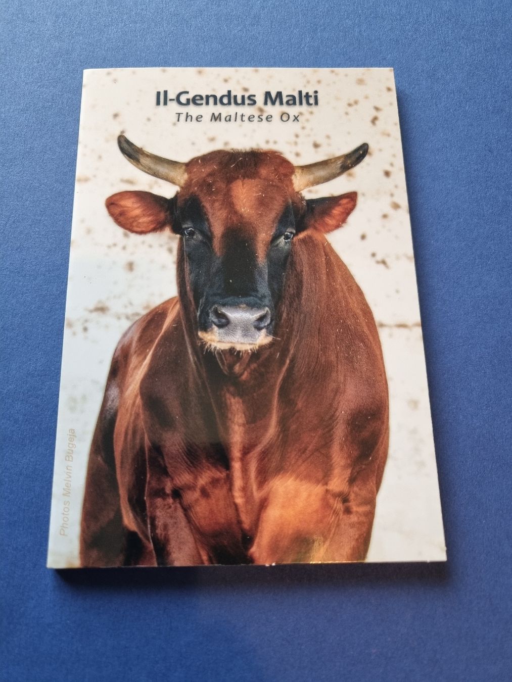 Tutti le monete: 2 Euro Malta 2025 Gendus Malti – Nuovo e nell'imballaggio originale da Unterägeri venduto da Ferreira_81