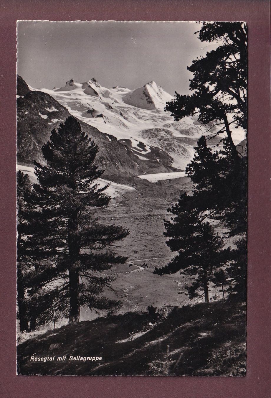 Cartes postales: ROSEGTAL - Sellagruppe - 1950 – D'occasion à Pully par nicecards