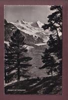 ROSEGTAL - Sellagruppe - 1950