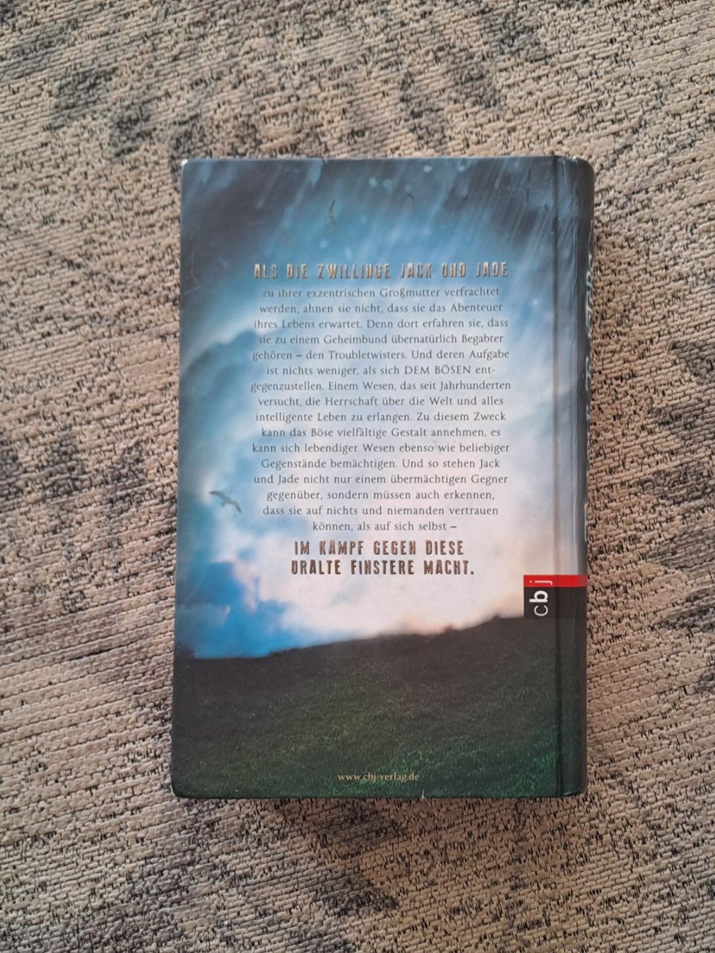 Libri: Trouble Twisters, der Sturm beginnt – Usato da Zürich venduto da mili021 2