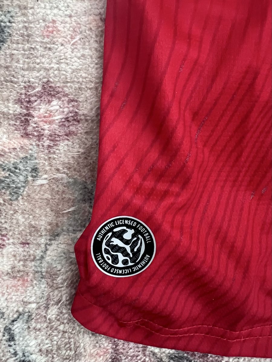 Schweizer Nati Maillots de corps & Pantalons: Schweizer WM Trikot 2026, Grösse L – Neuf avec emballage d'origine à Zürich par riz_w5hj 2