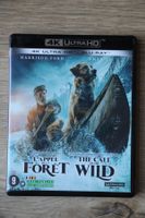 4K UHD & Blu-ray   L'APPEL DE LA FORÊT      Français Anglais