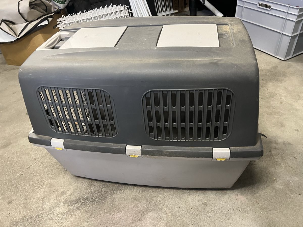 Gabbie, trasporto & Sicurezza: Grosse, robuste Hunde Transportbox für Auto oder Reise. – Usato da Fehraltorf venduto da flo0606 4