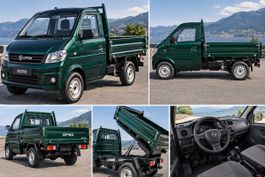Zu versteigern: Lieferwagen DFSK-Steck Mini-Truck K01H 4x4 