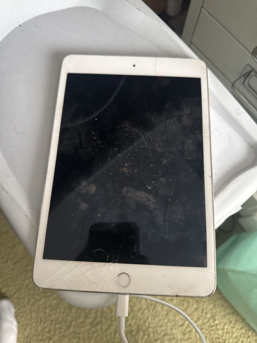 Apple Tablet PC: Ipad mini 4 - A1538 - icloude – Difettoso da Olten venduto da HoYa01 2