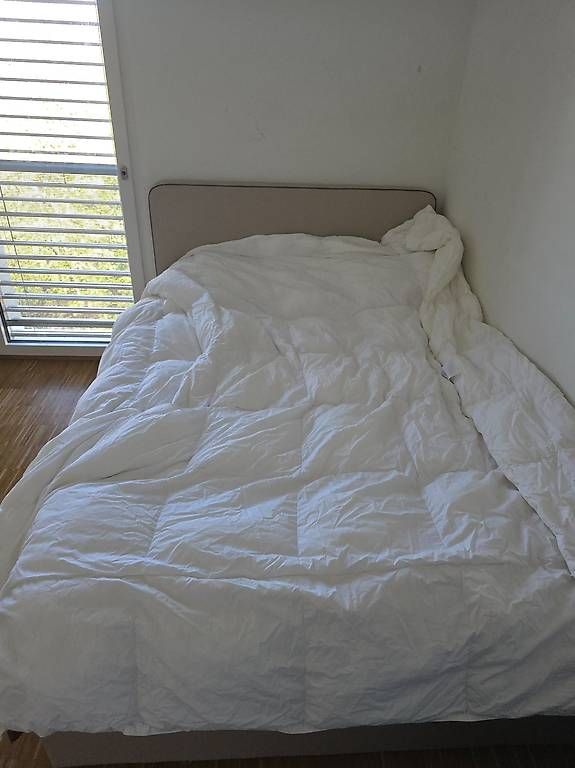 Decken: Couette 260x240 – Gebraucht aus Genève von oli_v9mp