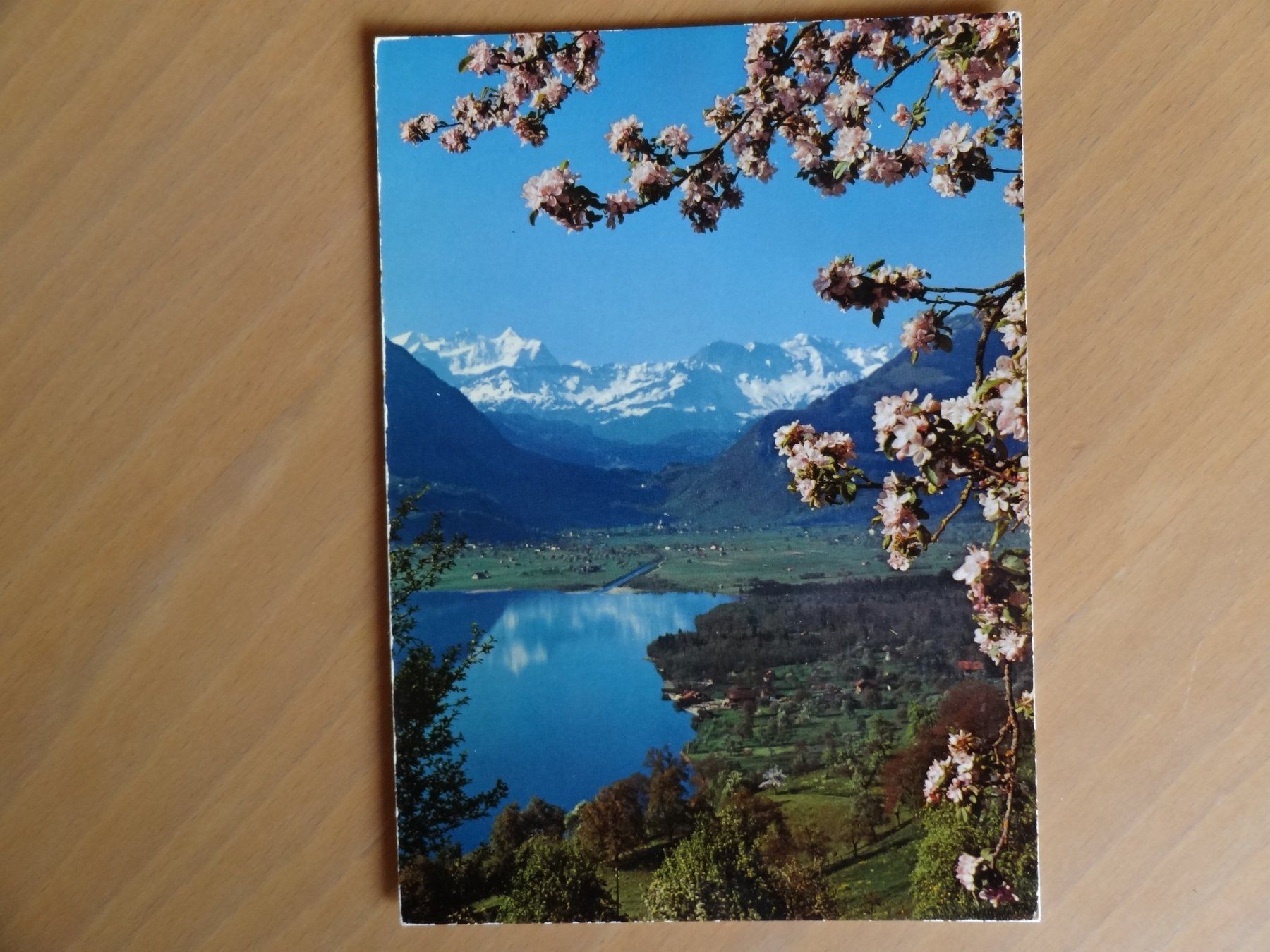 Cartoline postali: Sarnersee mit Giswil - 1972 – Usato da St Léonard venduto da Riglin