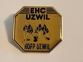 1 Pin EHC Uzwil 