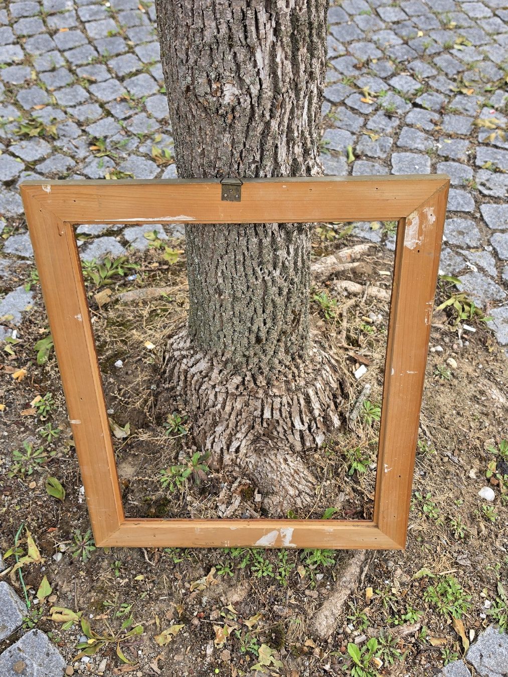 Cadres de tableaux: Bilderrahmen Gold  Holz neuwertig.  – D'occasion à Mettlen par elios0888 8