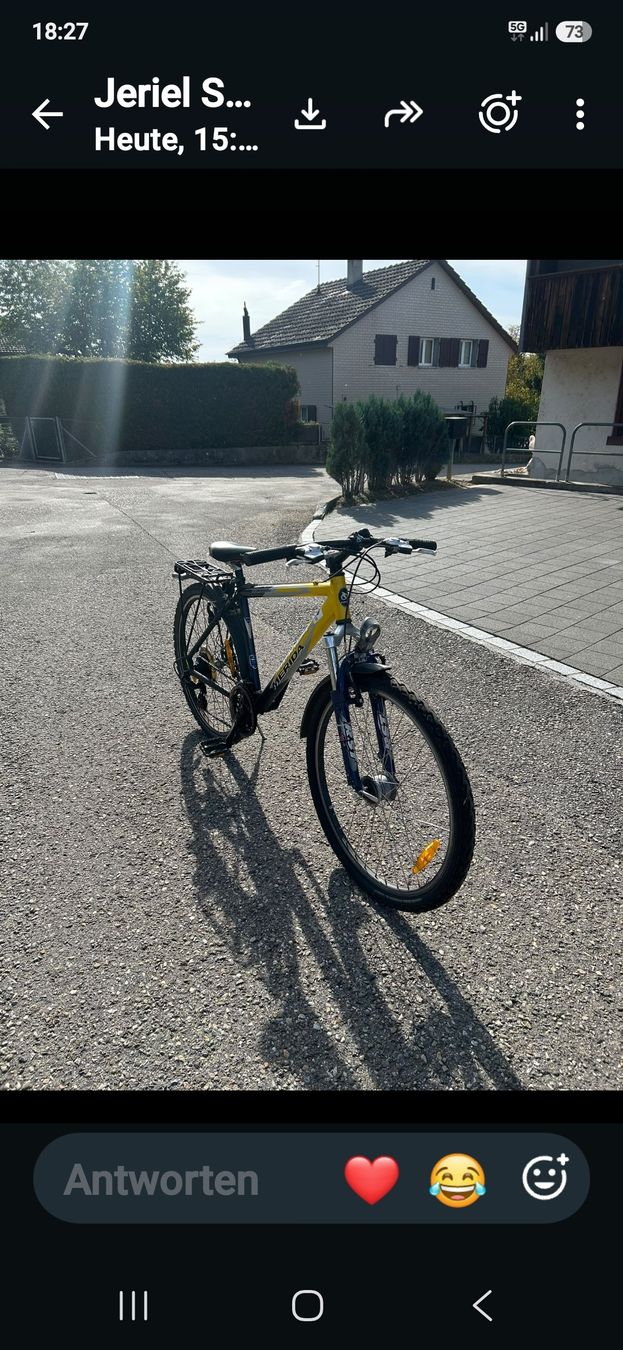Vélos: Velo – D'occasion à Murgenthal par Soemmio 2