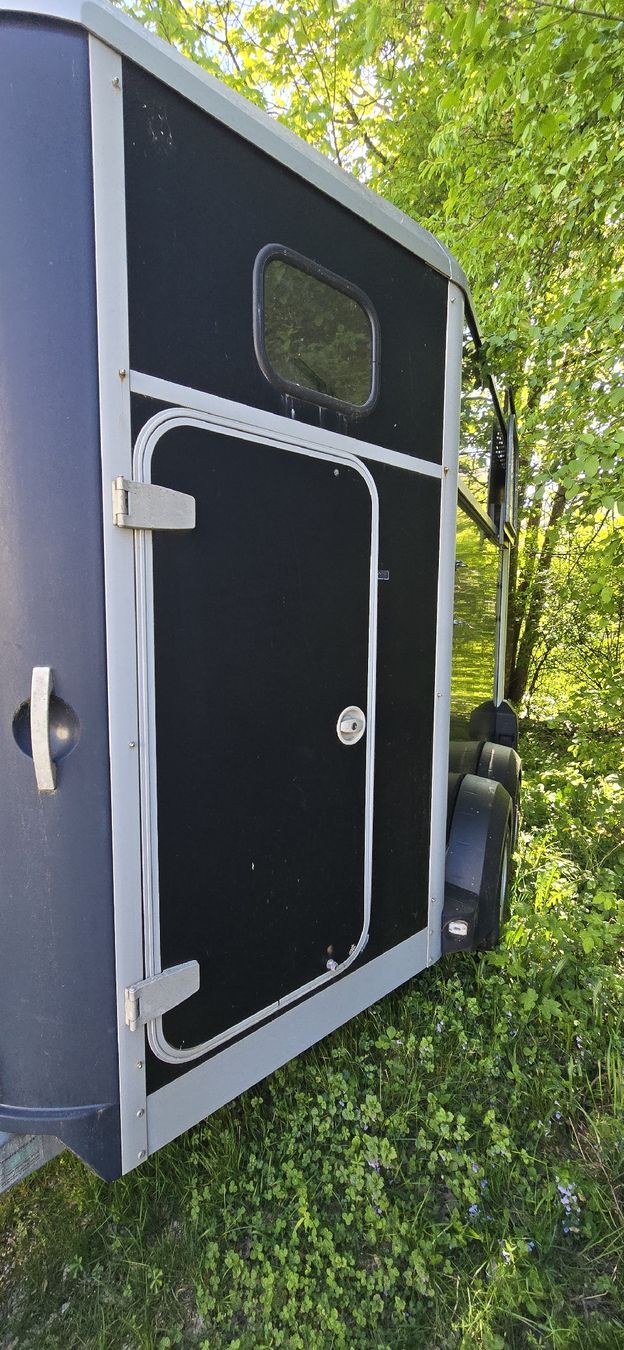 Ifor Rimorchi: Pferdeanhänher – Usato da Wald ZH venduto da rahili 3