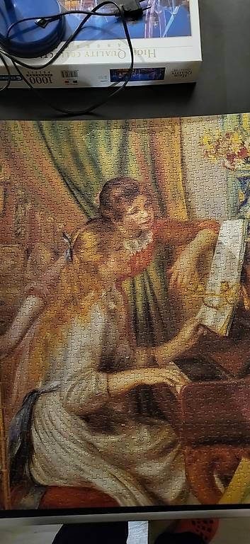 Puzzle: Puzzles 1000 pièces – Usato da Chamoson venduto da Chricou7 2