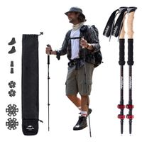 NEU 2 Trekking-Stöcke aus Carbon / 2 Bâtons trekking carbone