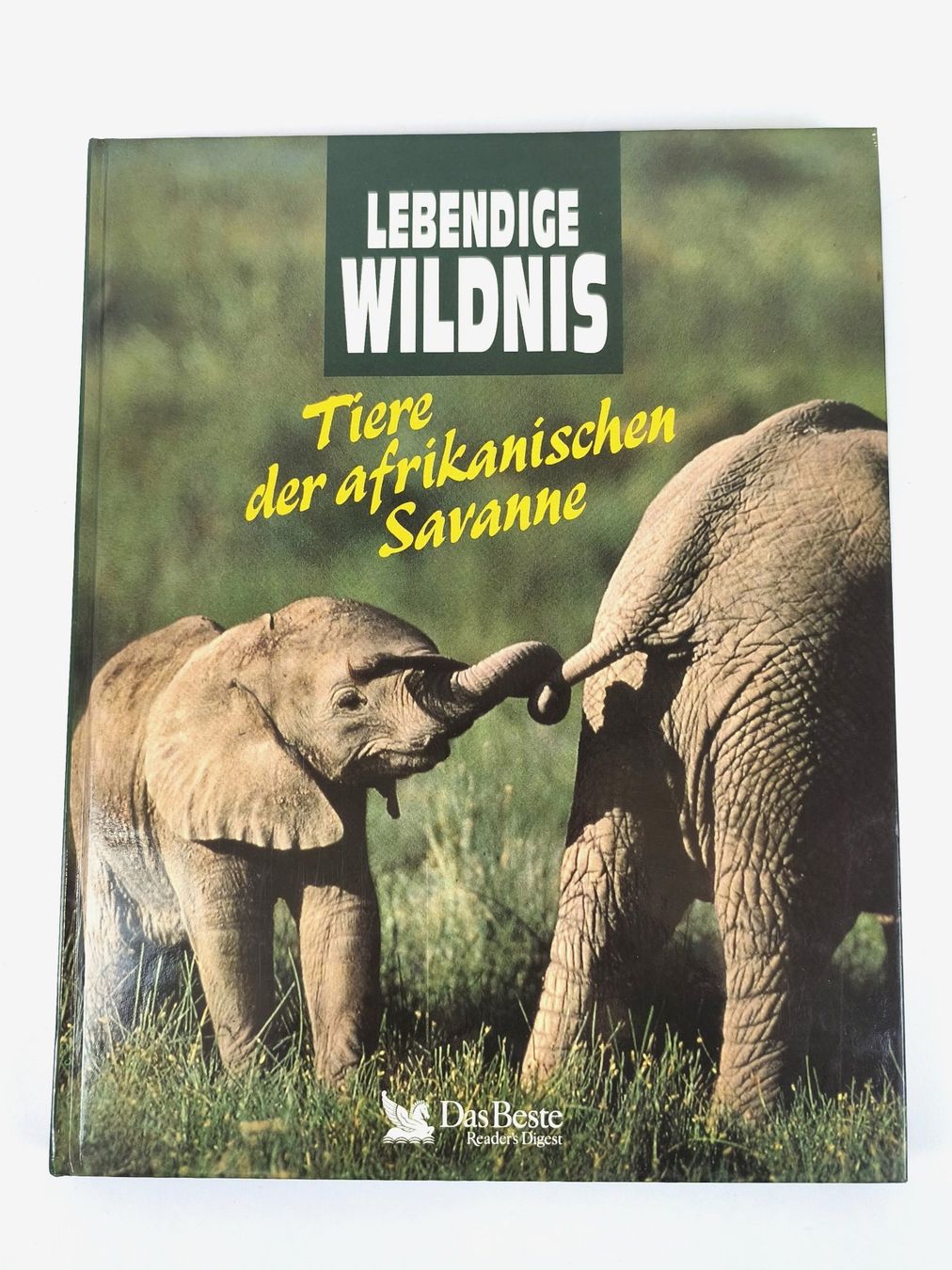 Libri: BUCH Tiere der afrikanischen Savanne – Usato da Schaffhausen venduto da Restwert_SH