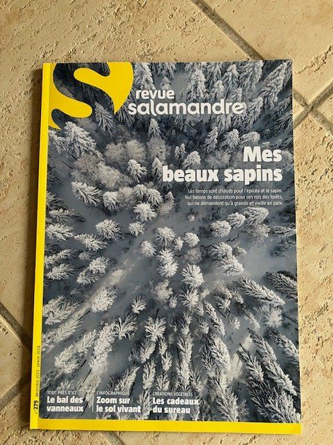 Riviste & Magazine: Revue La Salamandre - les sapins – Usato da Les Ponts-de-Martel venduto da Jolisa