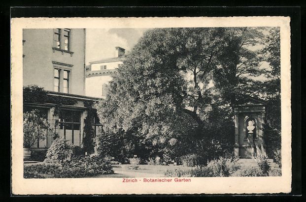 Cartoline postali: Zürich, Botanischer Garten, Partie mit  – Usato da Berlin venduto da bartko-reher