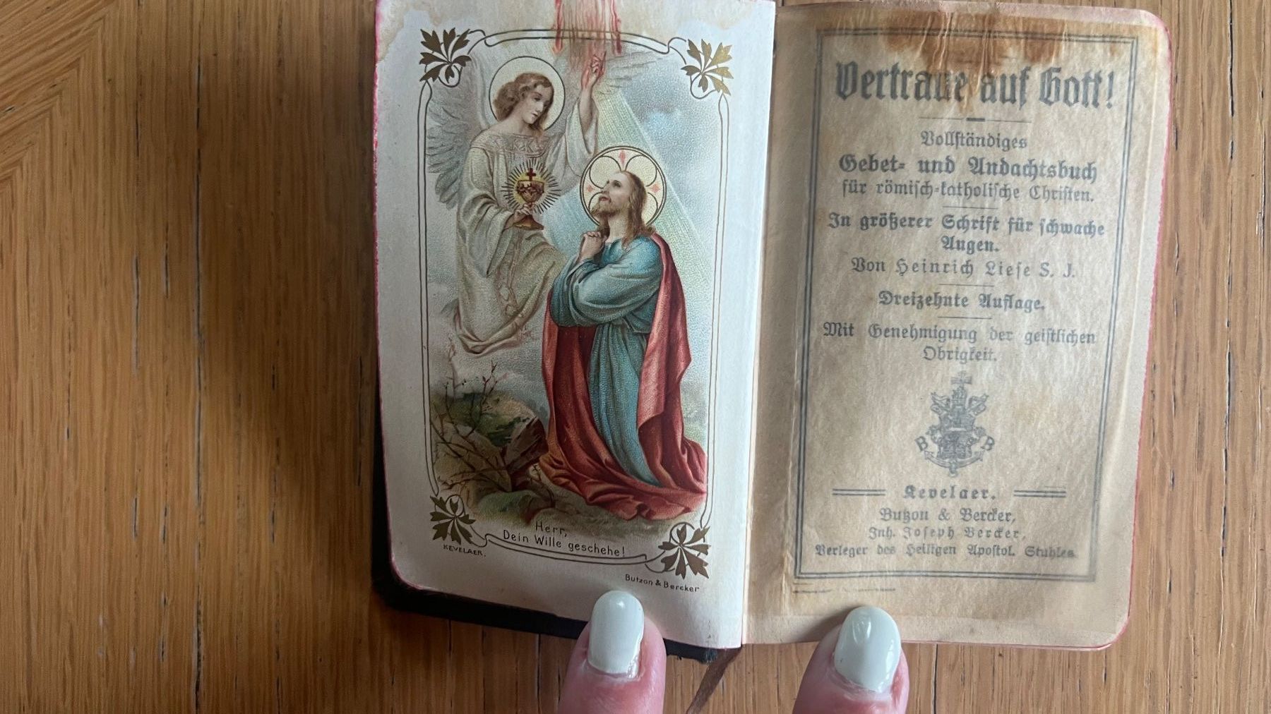 Libri: Antikes Gebetsbuch 1910 – Usato da Schübelbach venduto da Dolly990_2 3