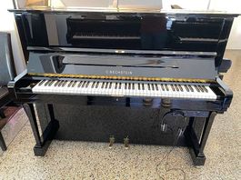 C. Bechstein 11-120 K-Silent