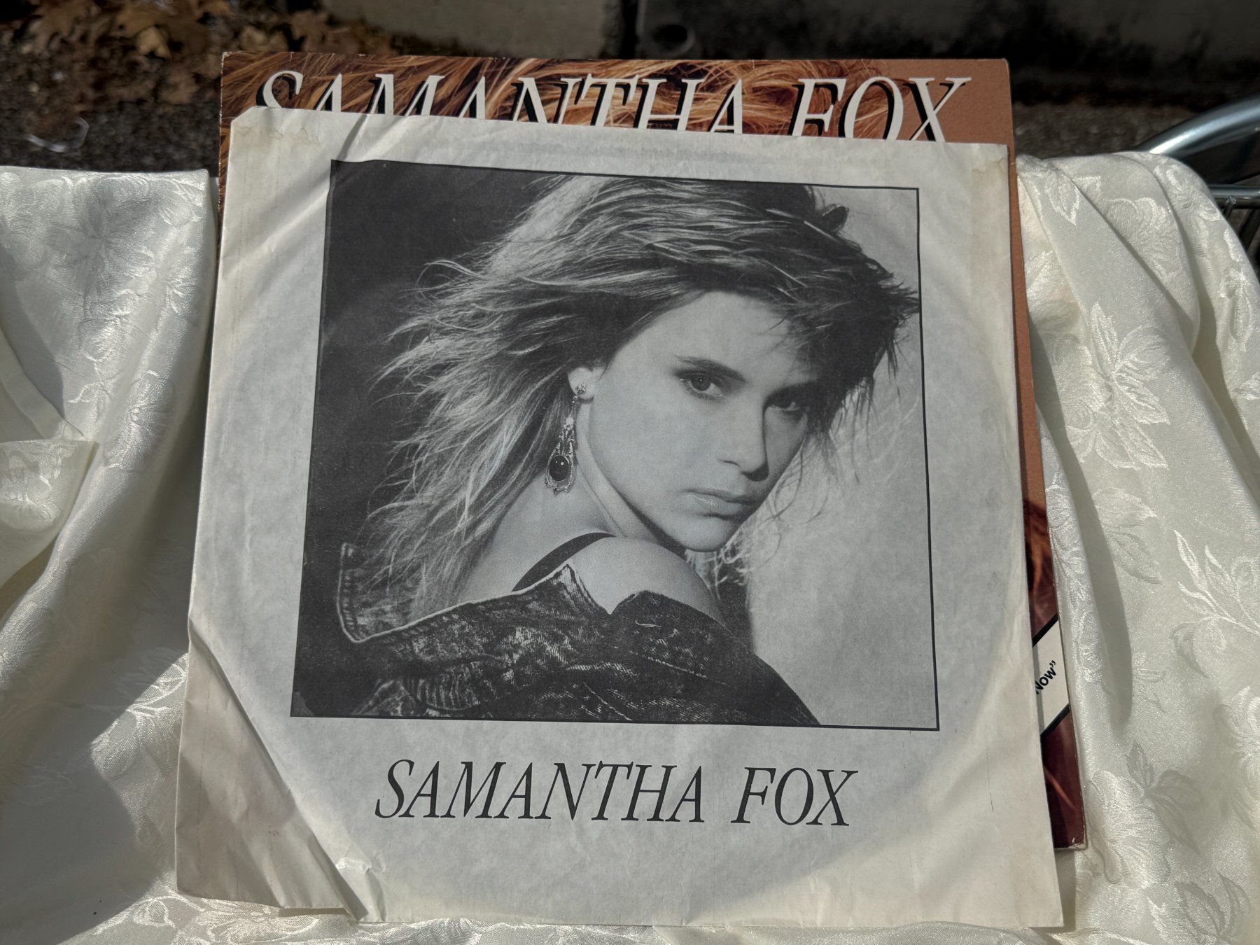 Dischi in vinile: Samantha Fox  - 33-rpm-Schallplatte – Usato da Vacallo venduto da cri_229f 2
